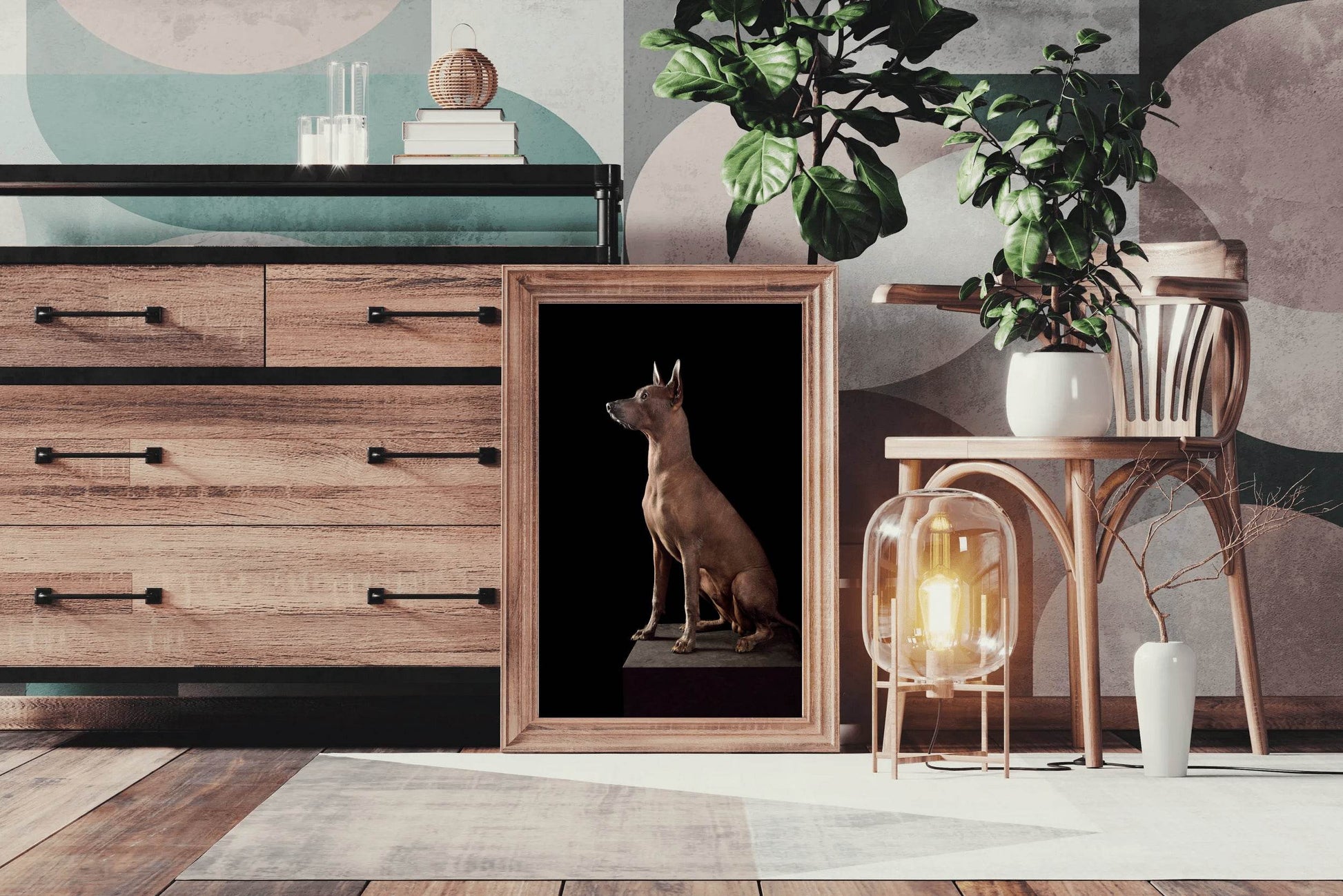 Peruvian Inca Orchid Dog Picture Wall Art - beink online art store