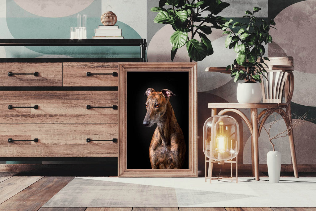 Greyhound Animal Wall Art - beink online art store