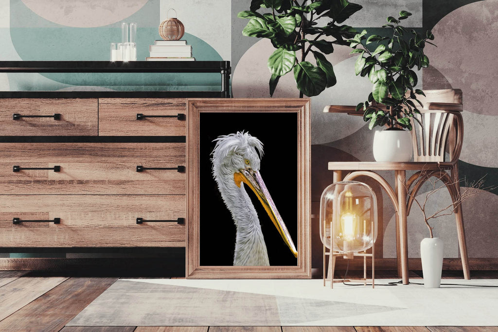 Picture of White Dalmatian Pelican - beink online art store