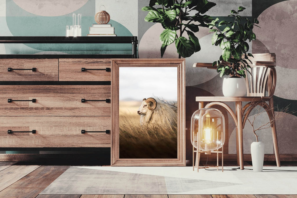 Icelandic Sheep Animal Wall Art - beink online art store
