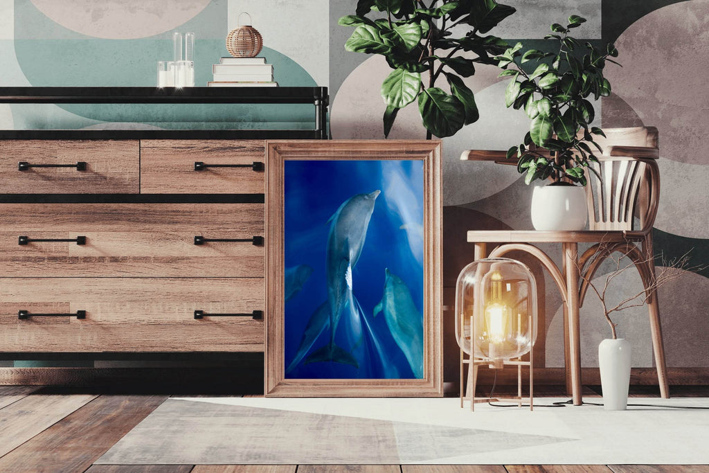 Common Bottlenose Dolphin Wall Art - beink online art store