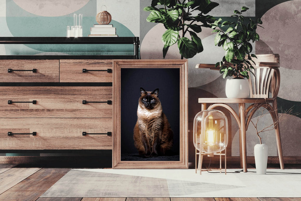 Siamese Cat Animal Wall Art - beink online art store
