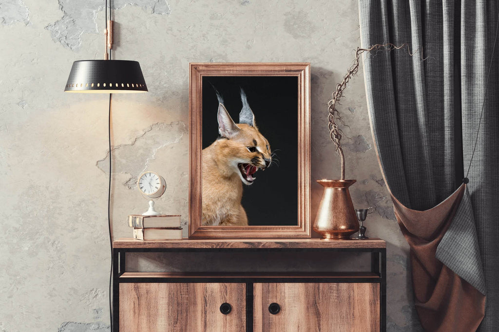 Caracal Wild Cat Animal Wall Art - beink online art store