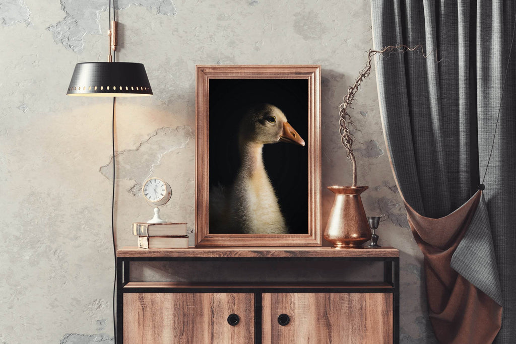 Domestic Goose Wall Art - beink online art store