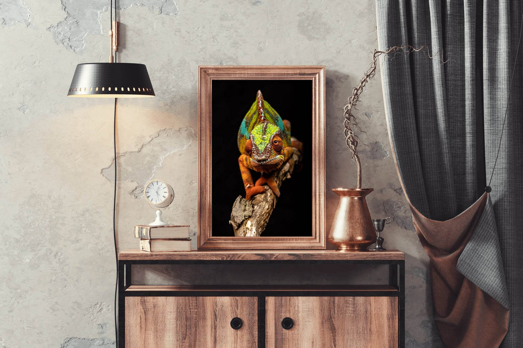 Panther Chameleon Animal Wall Art - beink online art store