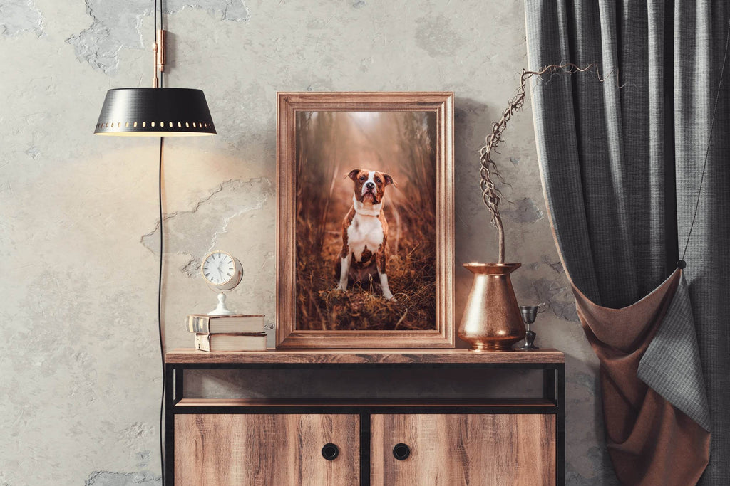 Picture of Standing Pit Bull Wall Art - beink online art store