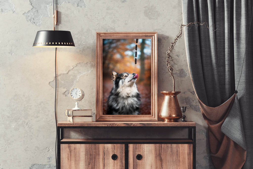 Finnish Lapphund Animal Wall Art - beink online art store