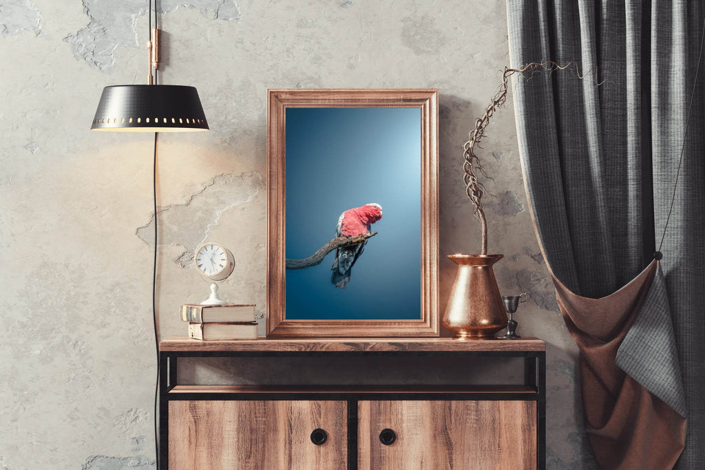 Galah Bird Wall Art - beink online art store