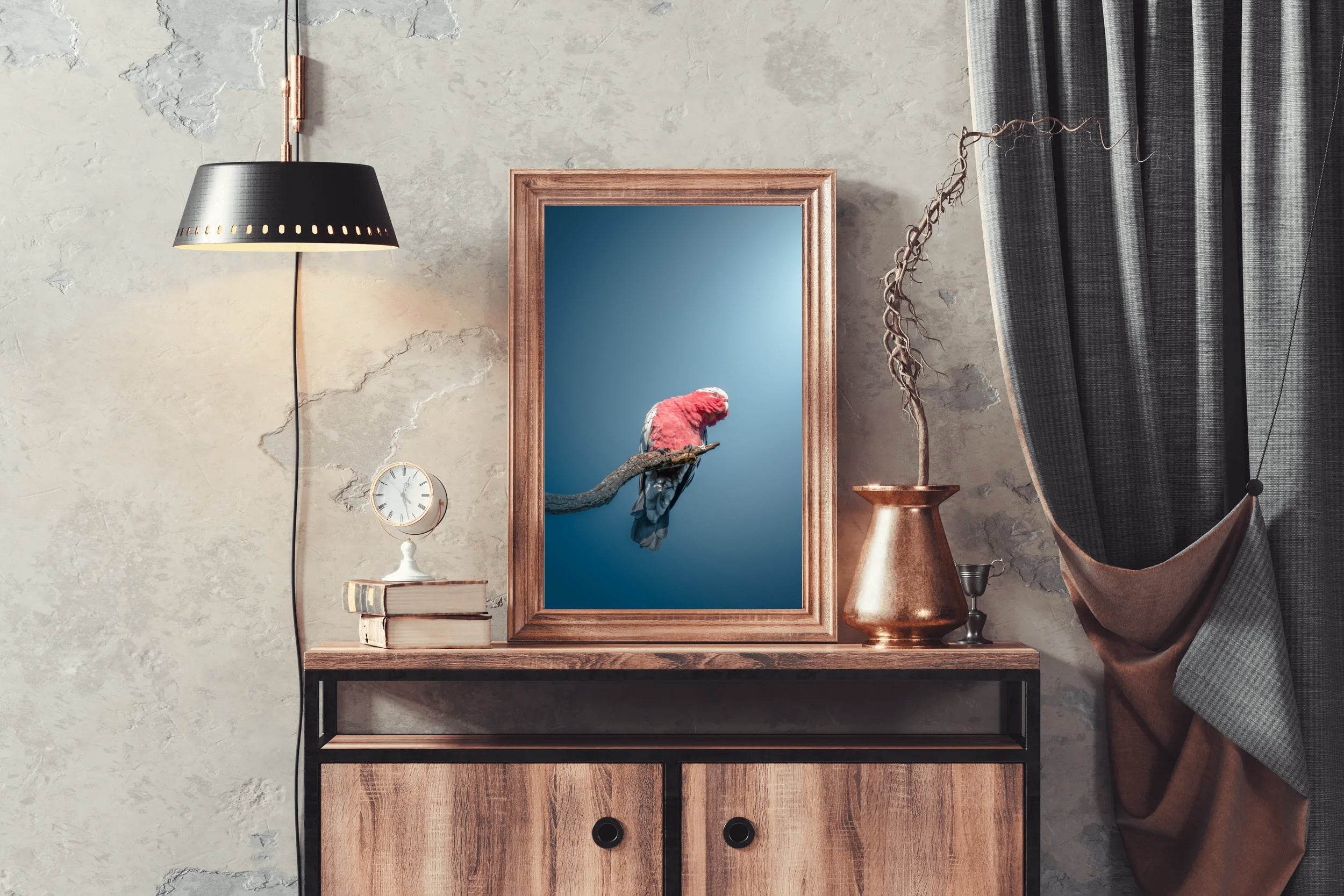 Galah Bird Wall Art - beink online art store