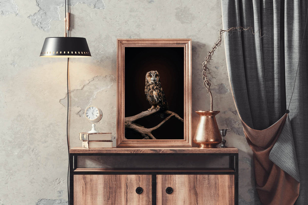 Long-Eared Owl Bird Wall Art - beink online art store
