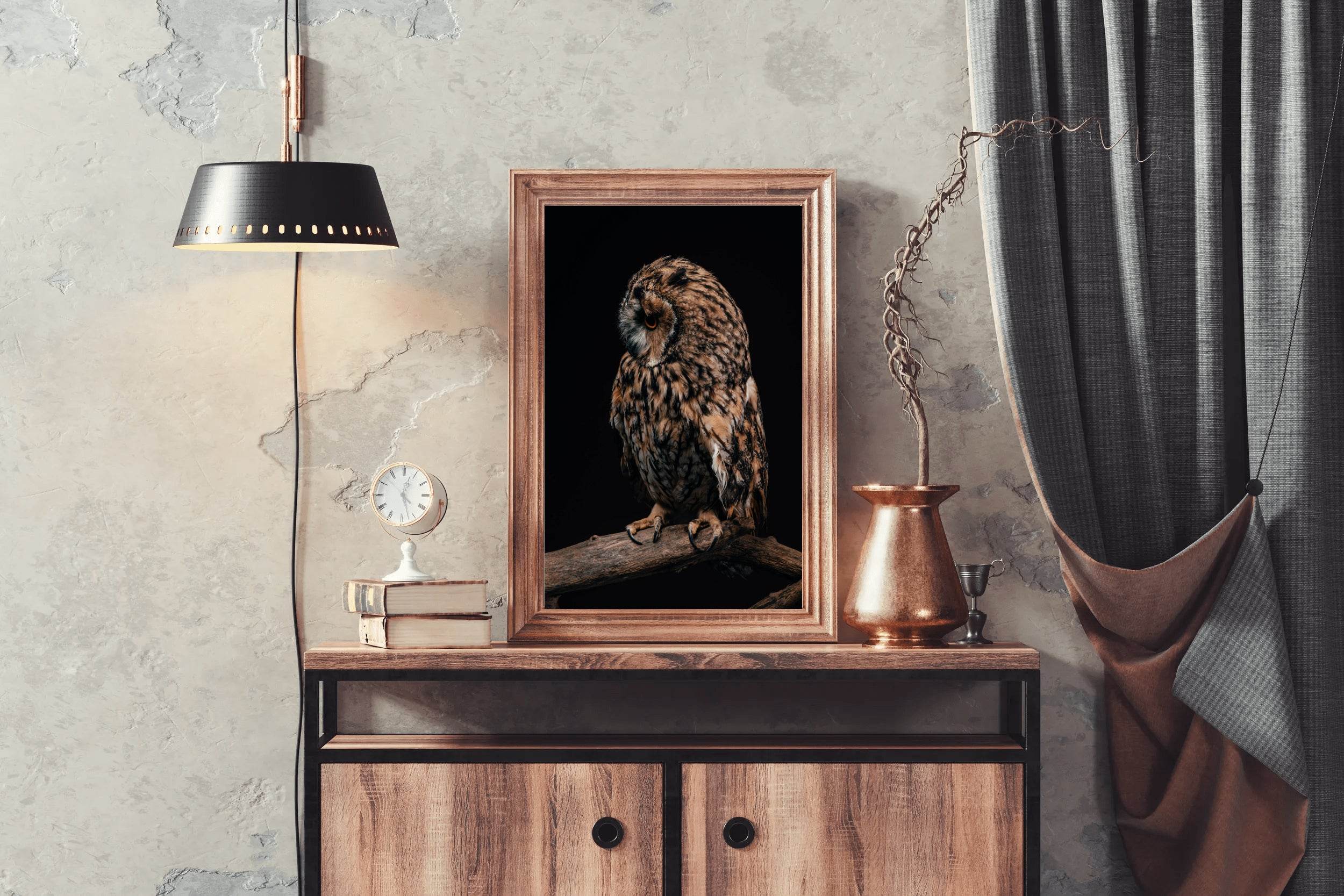 Long-Eared Owl Animal Wall Art - beink online art store