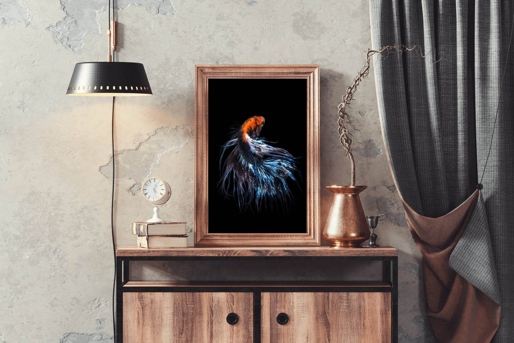 Siamese Fighting Fish Animal Wall Art - beink online art store