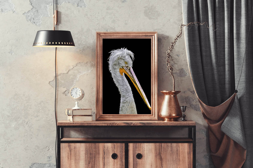 Picture of White Dalmatian Pelican - beink online art store