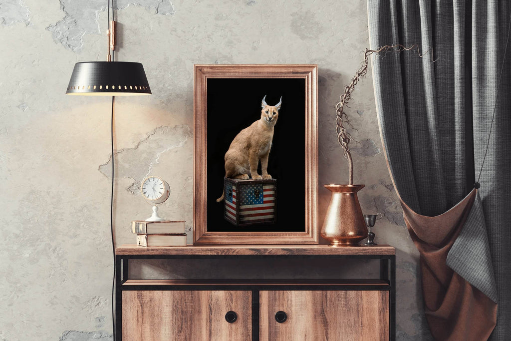 Caracal Wild Cat Animal Wall Art - beink online art store