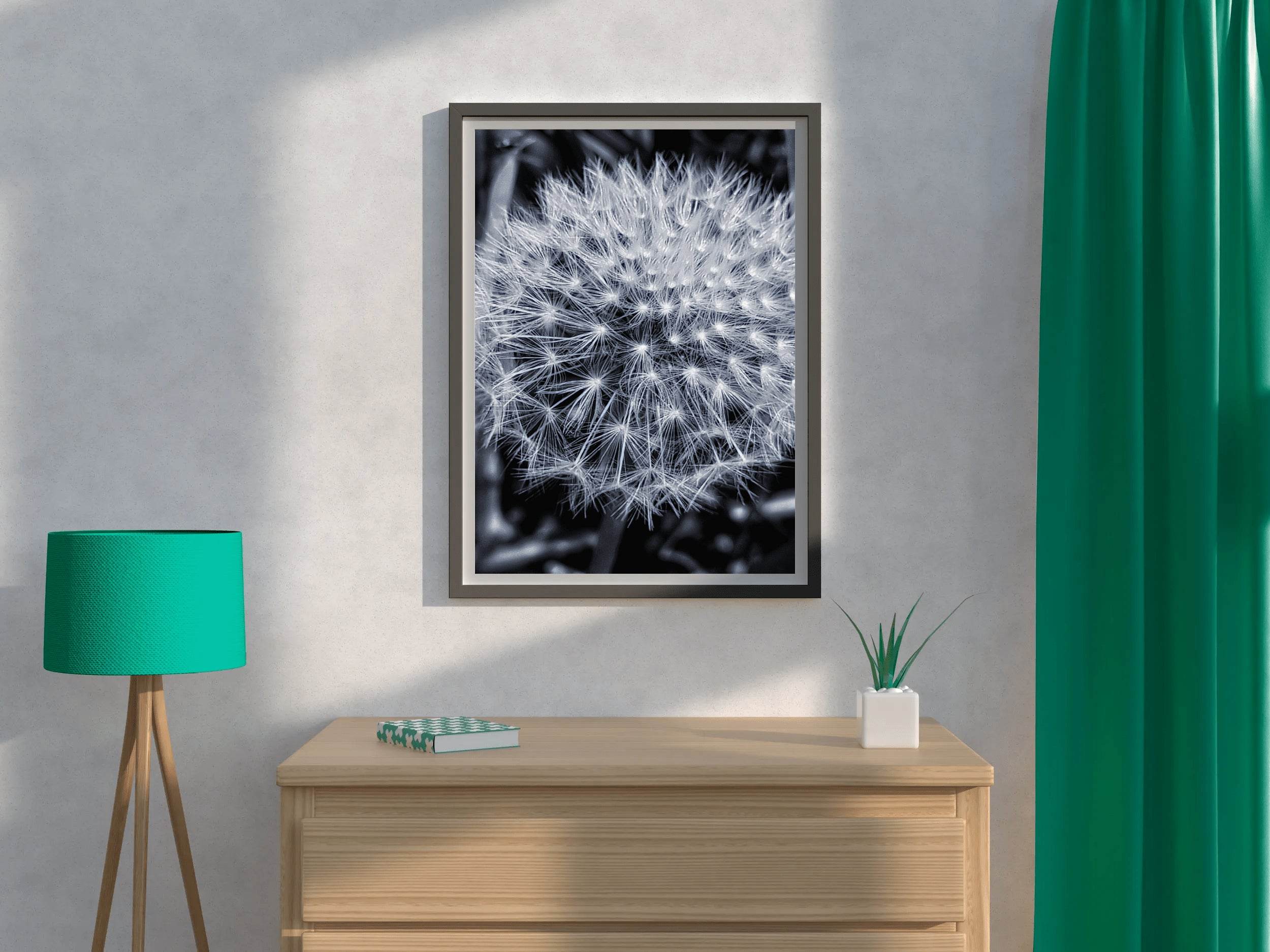Common Dandelion Black & White Wall Art - beink online art store