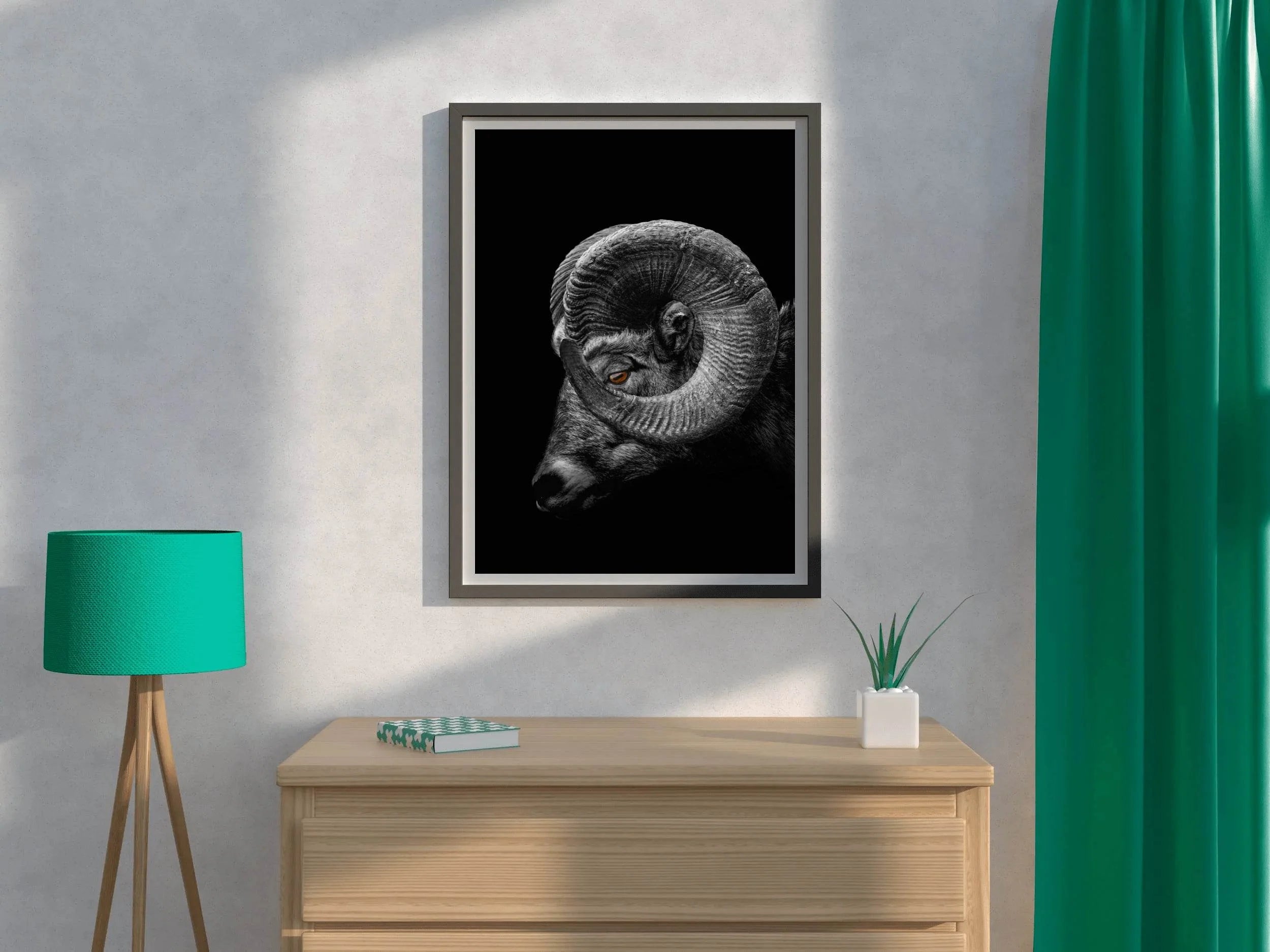Bighorn Sheep Black & White Wall Art - beink online art store