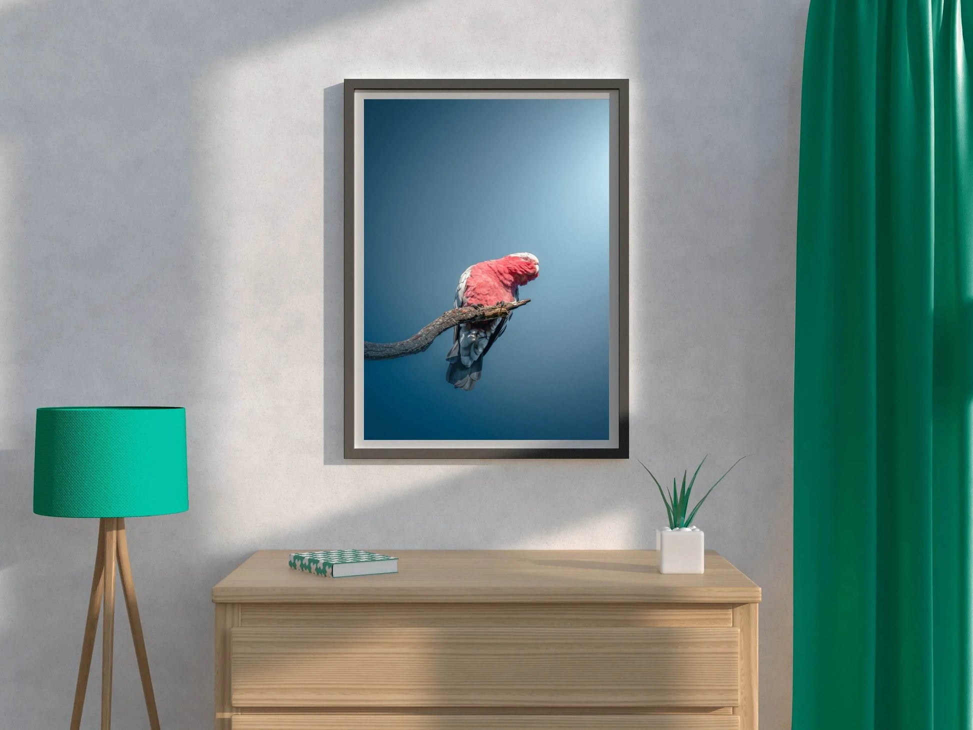 Galah Bird Wall Art - beink online art store