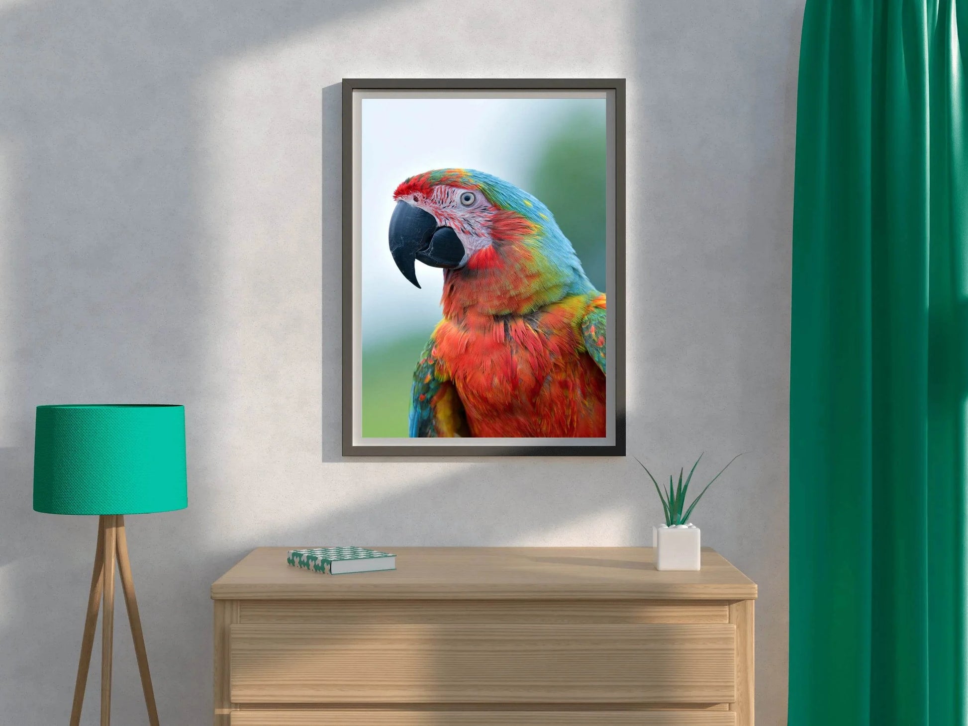 Beautiful Macaw Parrot Wall Art - beink online art store