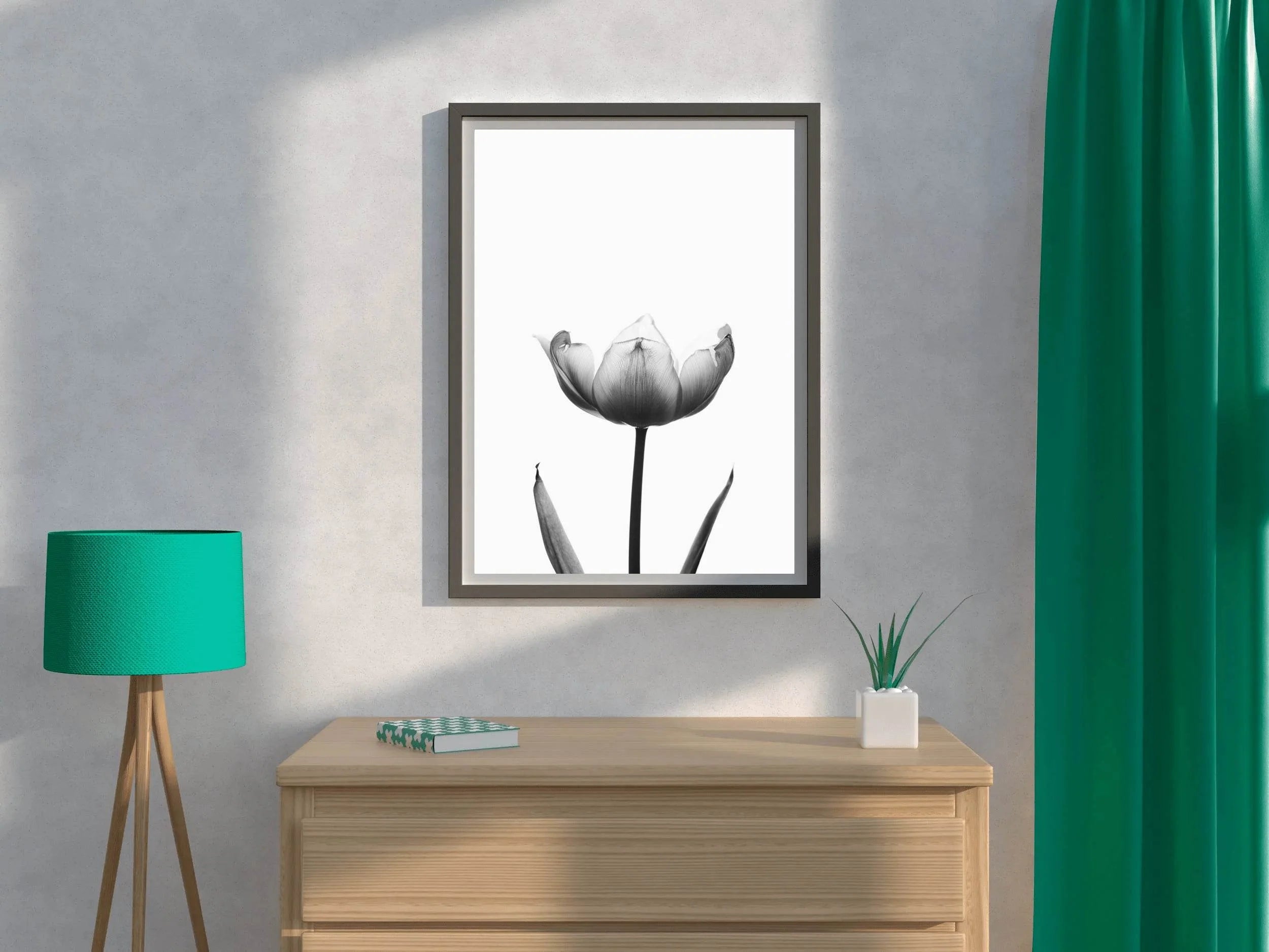 Tulip Black & White Wall Art - beink online art store