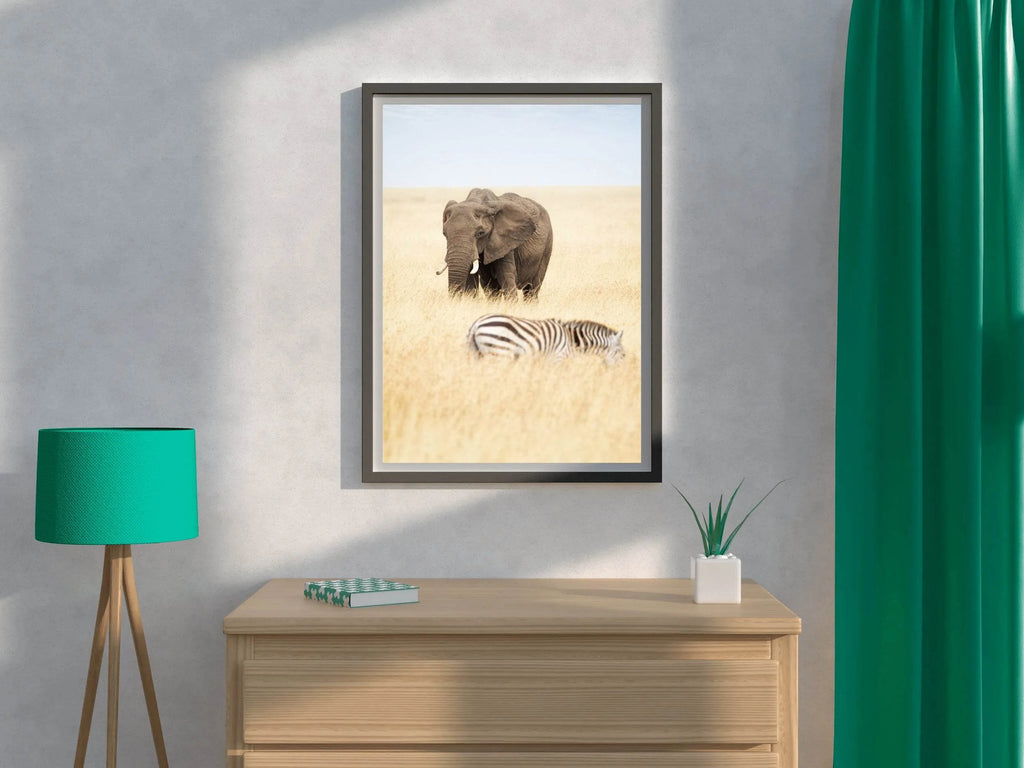 Elephant and Zebra Picture Wall Art - beink online art store