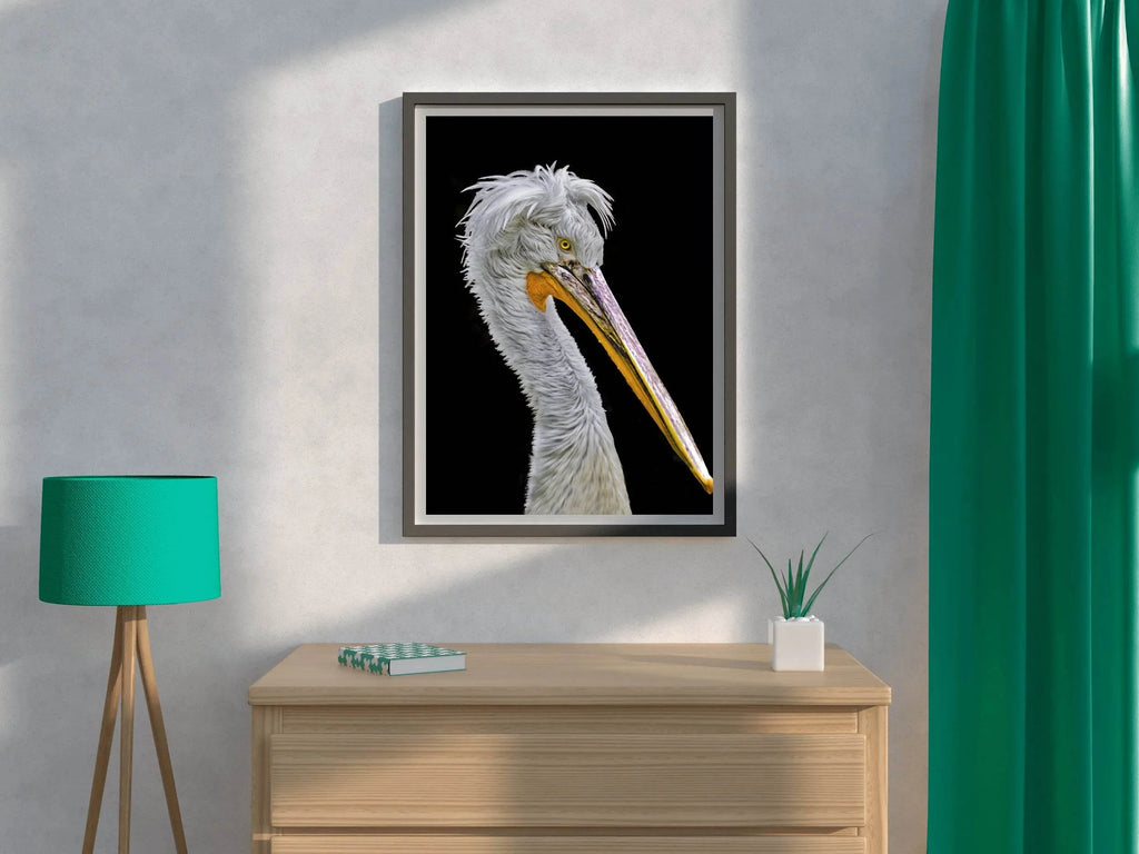 Picture of White Dalmatian Pelican - beink online art store