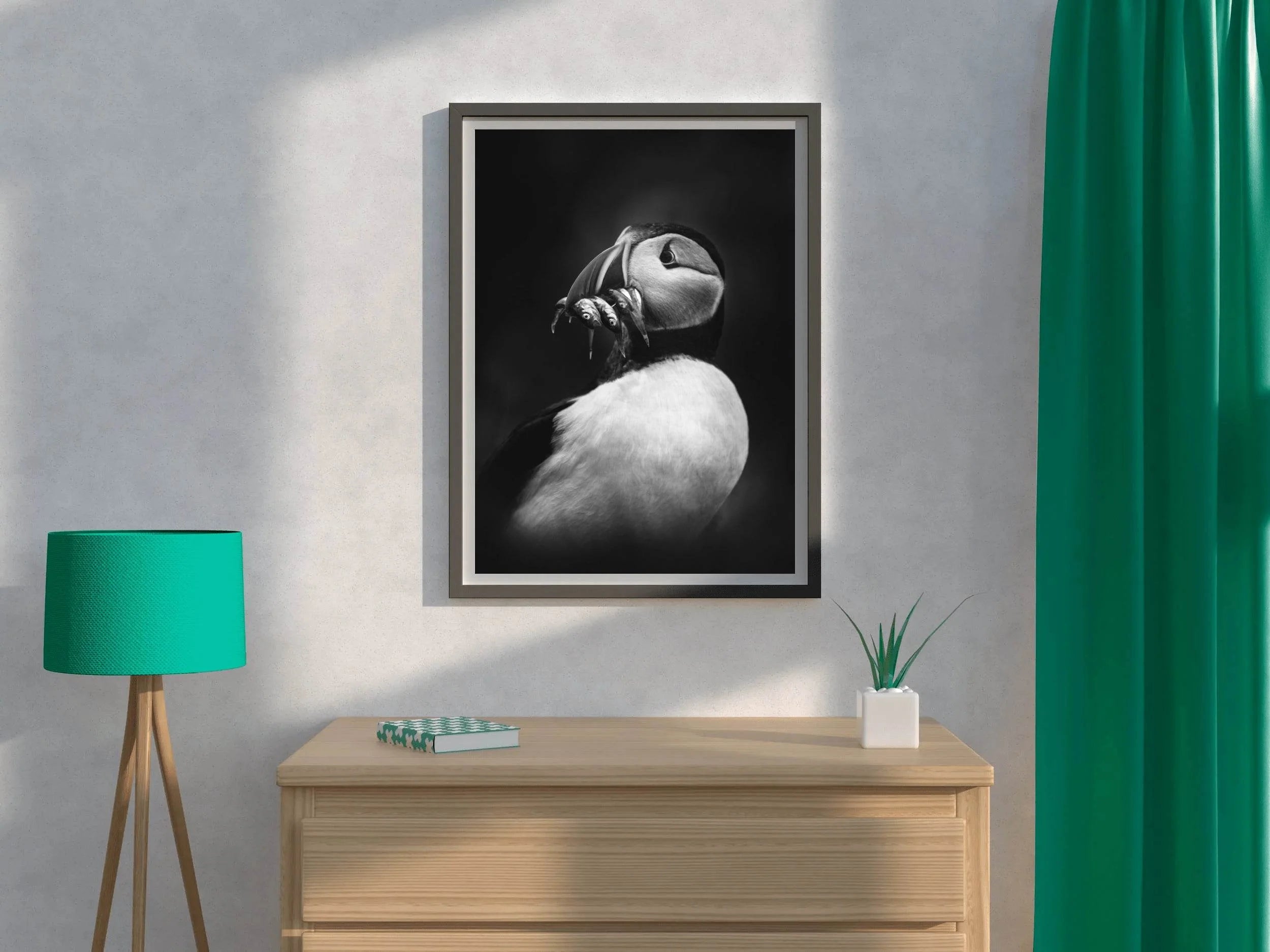Atlantic Puffin Black & White Wall Art - beink online art store