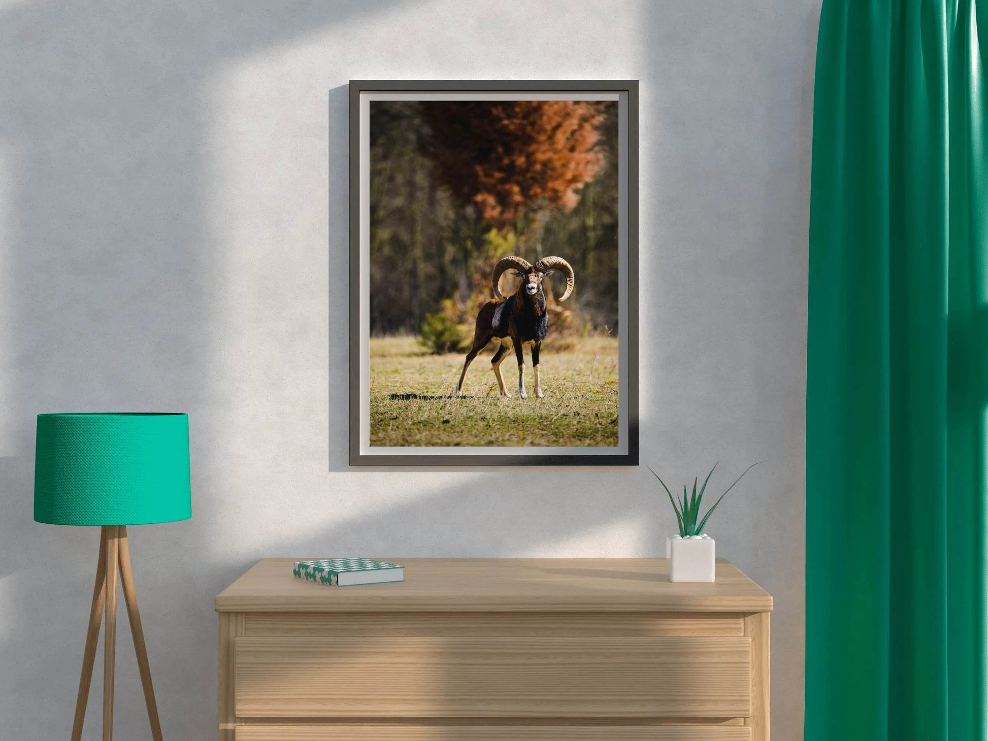 European Mouflon Animal Wall Art - beink online art store