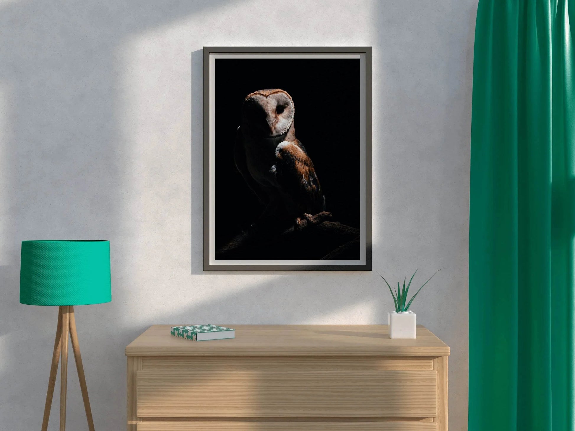 Barn Owl Bird Wall Art - beink online art store