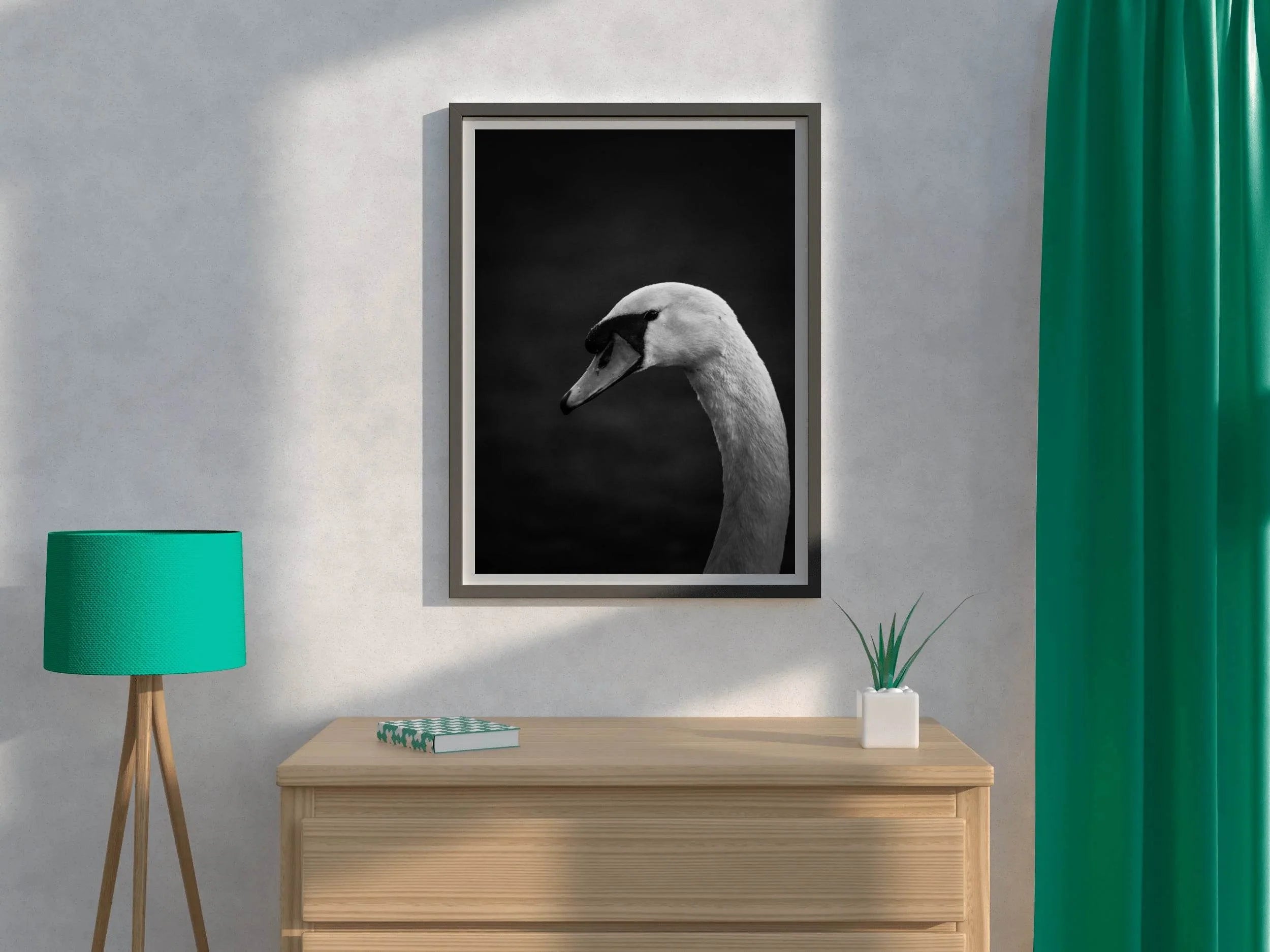 Mute Swan Black & White Wall Art - beink online art store