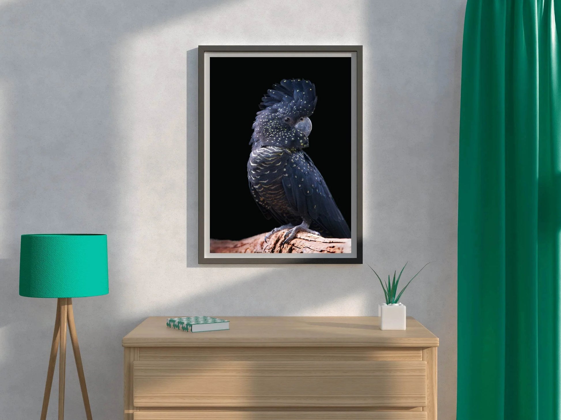 Red-Tailed Black Cockatoo Bird Wall Art - beink online art store