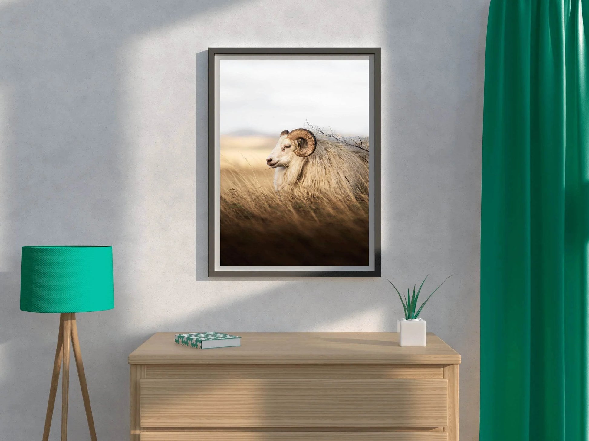 Icelandic Sheep Animal Wall Art - beink online art store