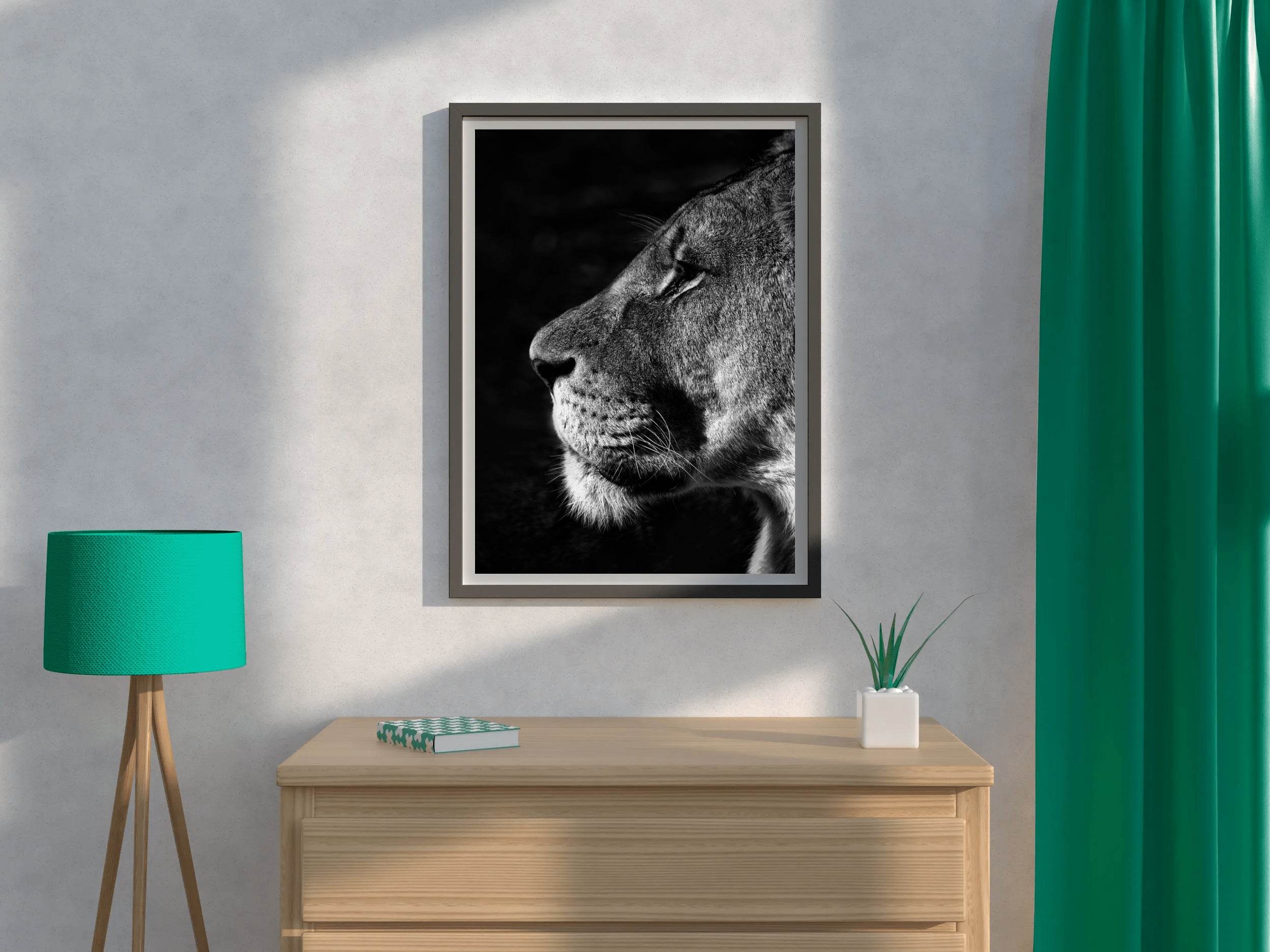 Barbary Lion Black & White Wall Art - beink online art store