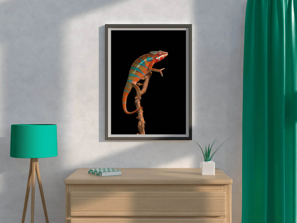 Panther Chameleon Animal Wall Art - beink online art store
