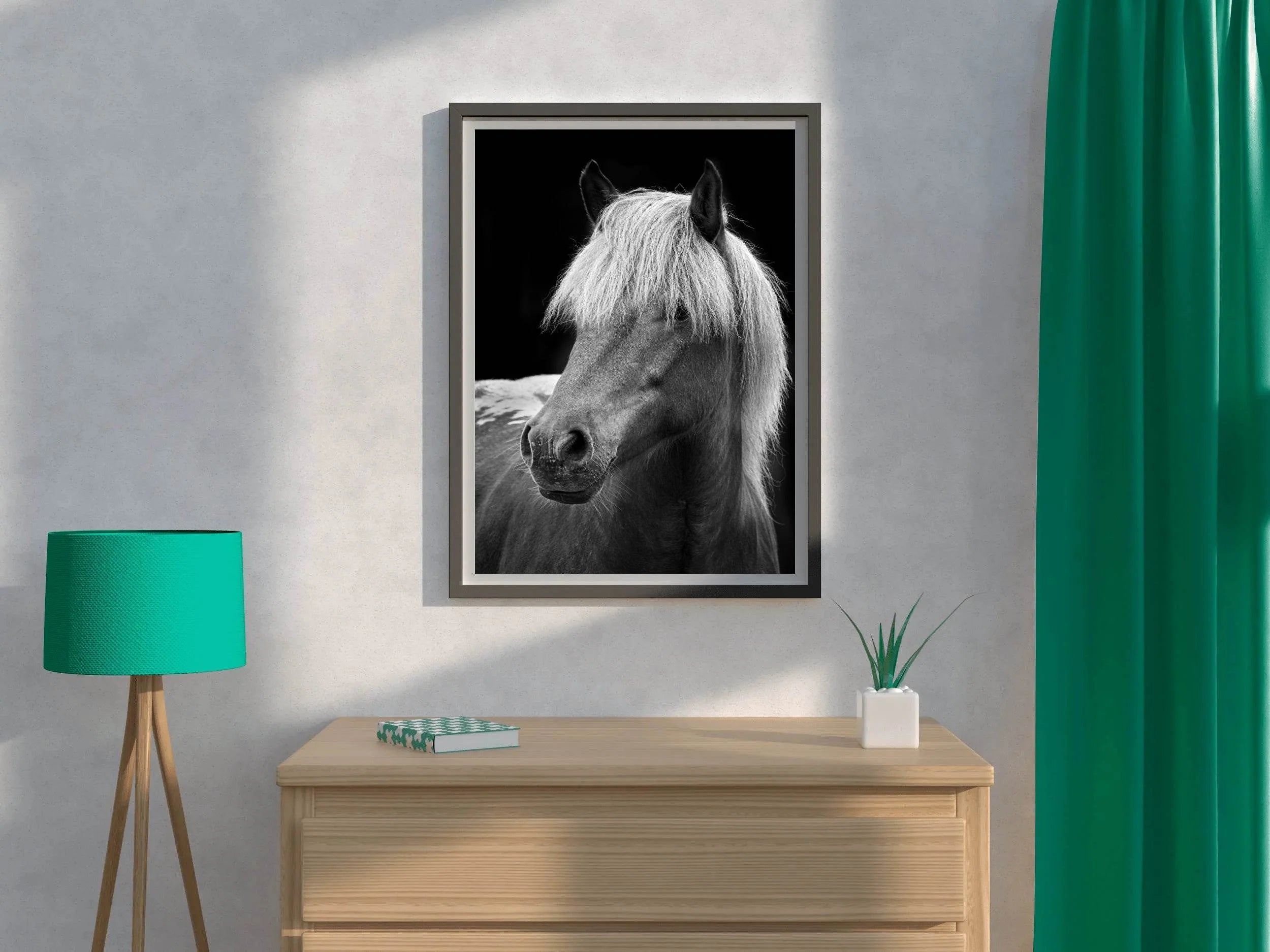 Icelandic Horse Black & White Wall Art - beink online art store