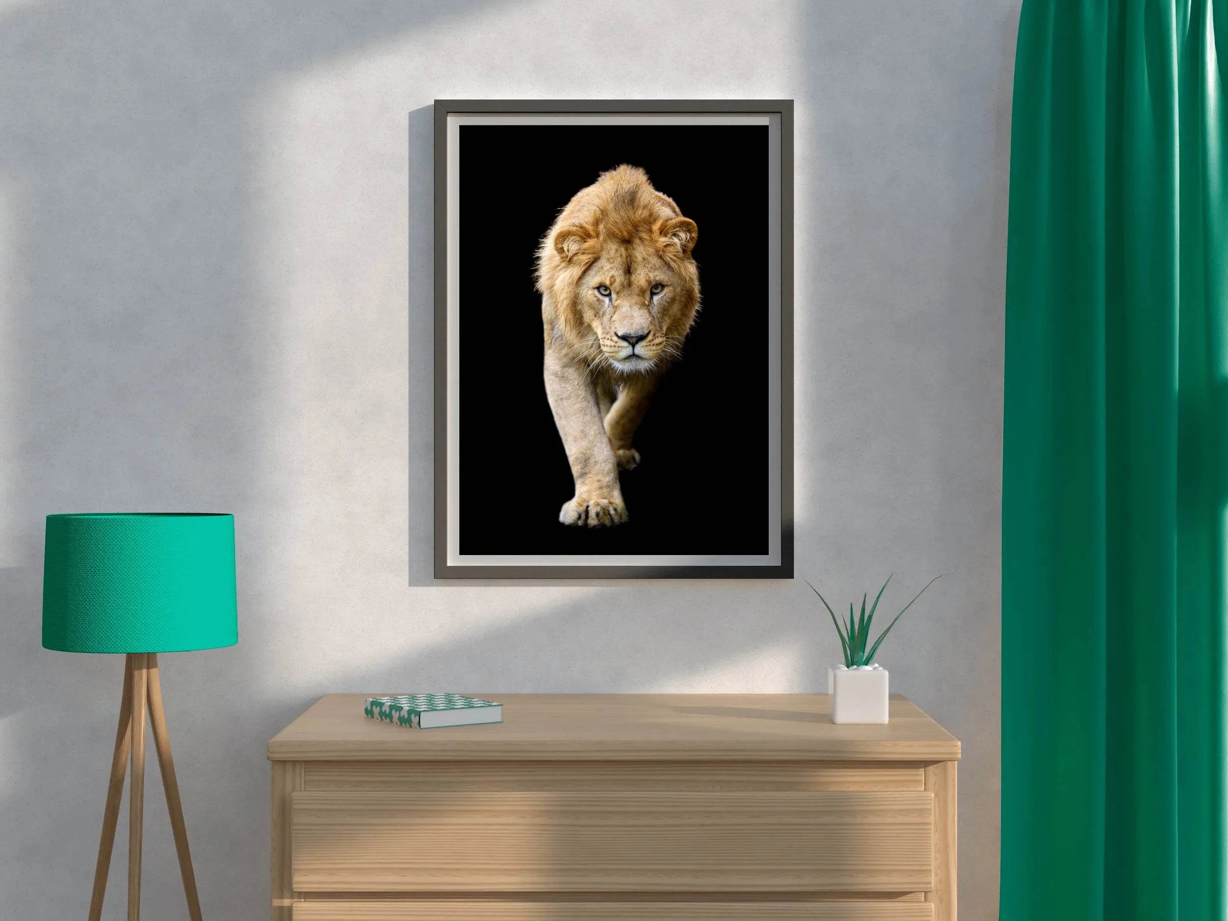 Asiatic Lion Animal Wall Art - beink online art store