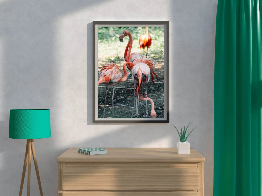 American Flamingo Animal Wall Art - beink online art store