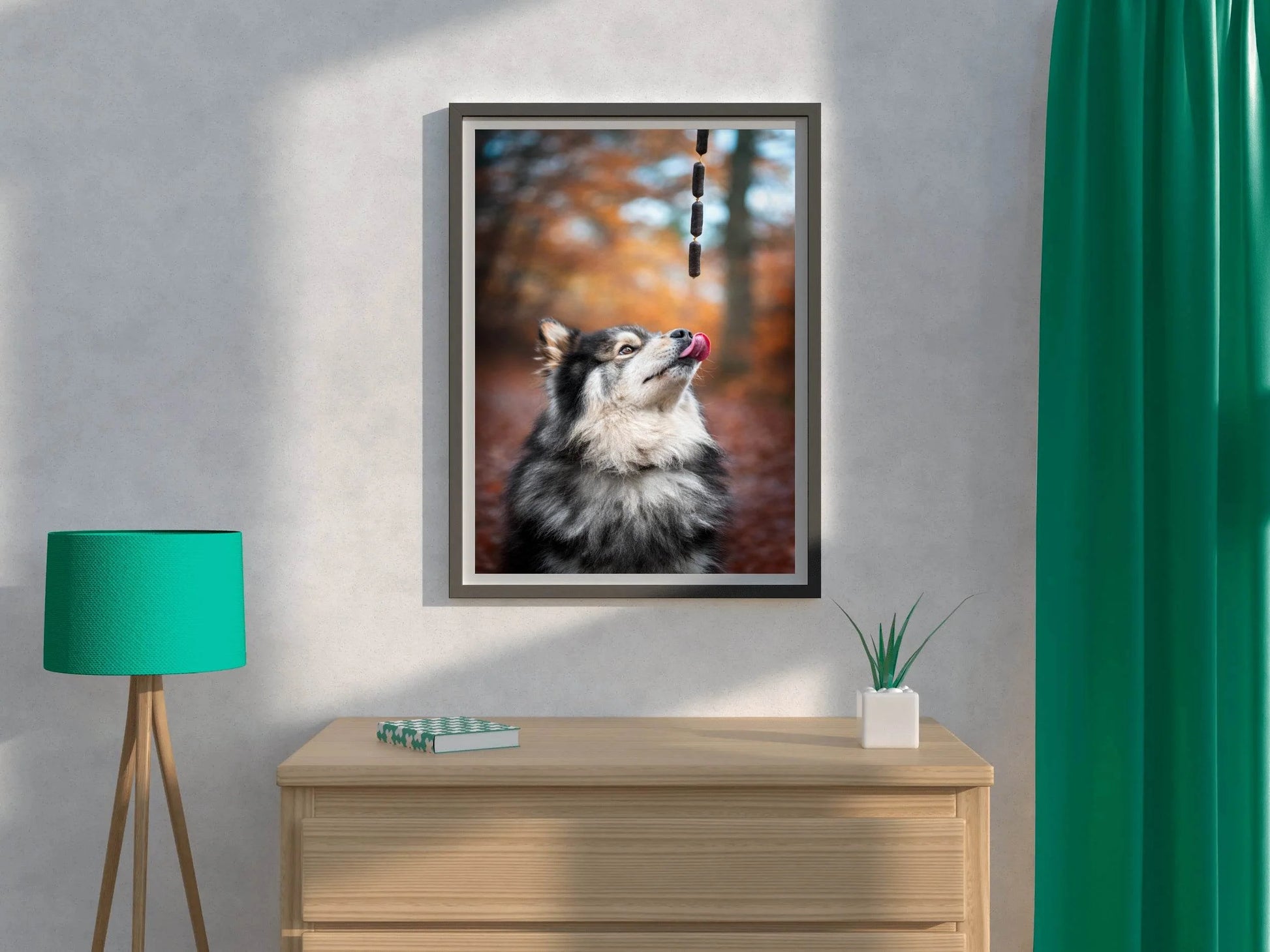Finnish Lapphund Animal Wall Art - beink online art store