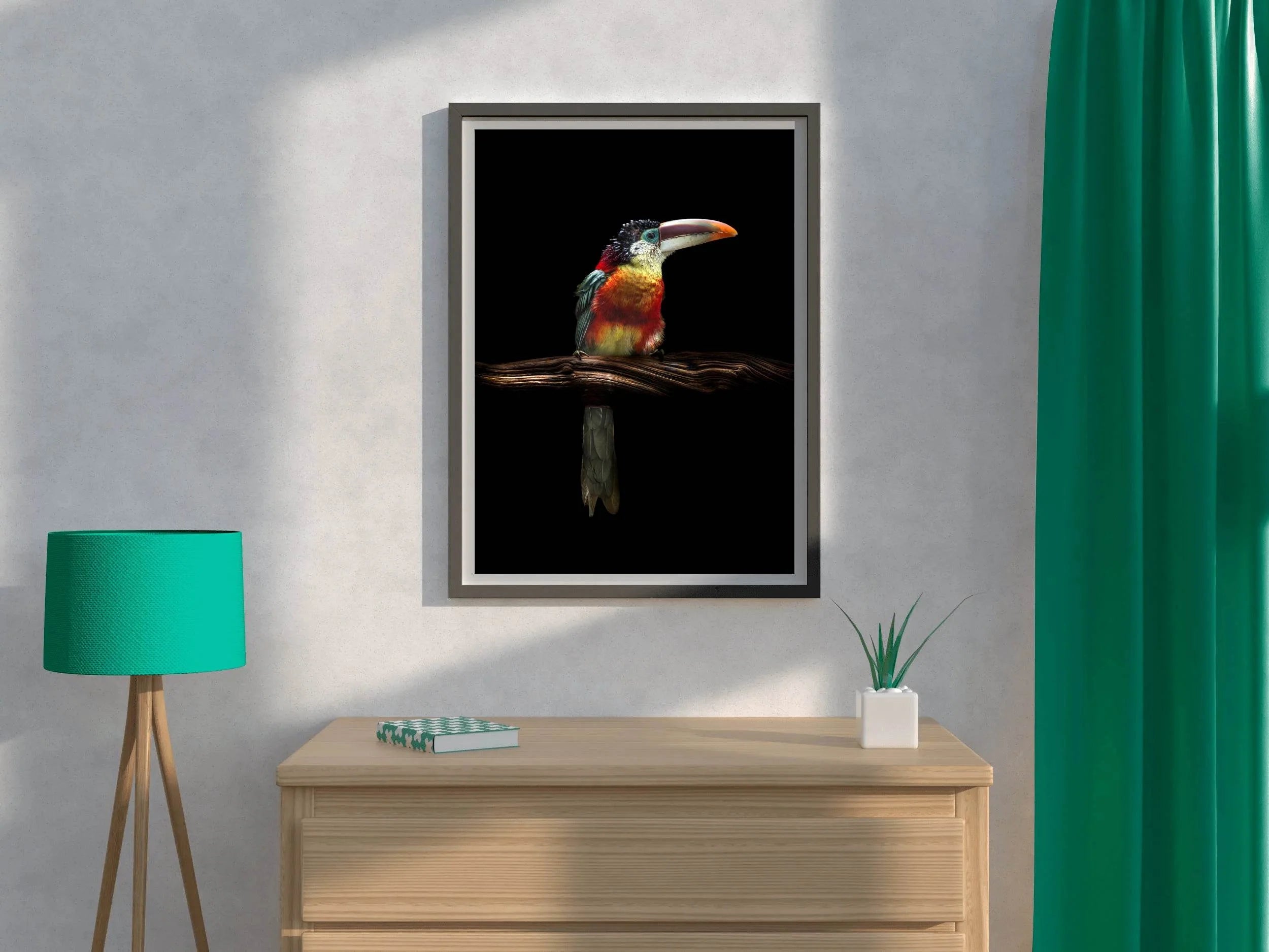 Curl-Crested Aracari Bird Wall Art - beink online art store