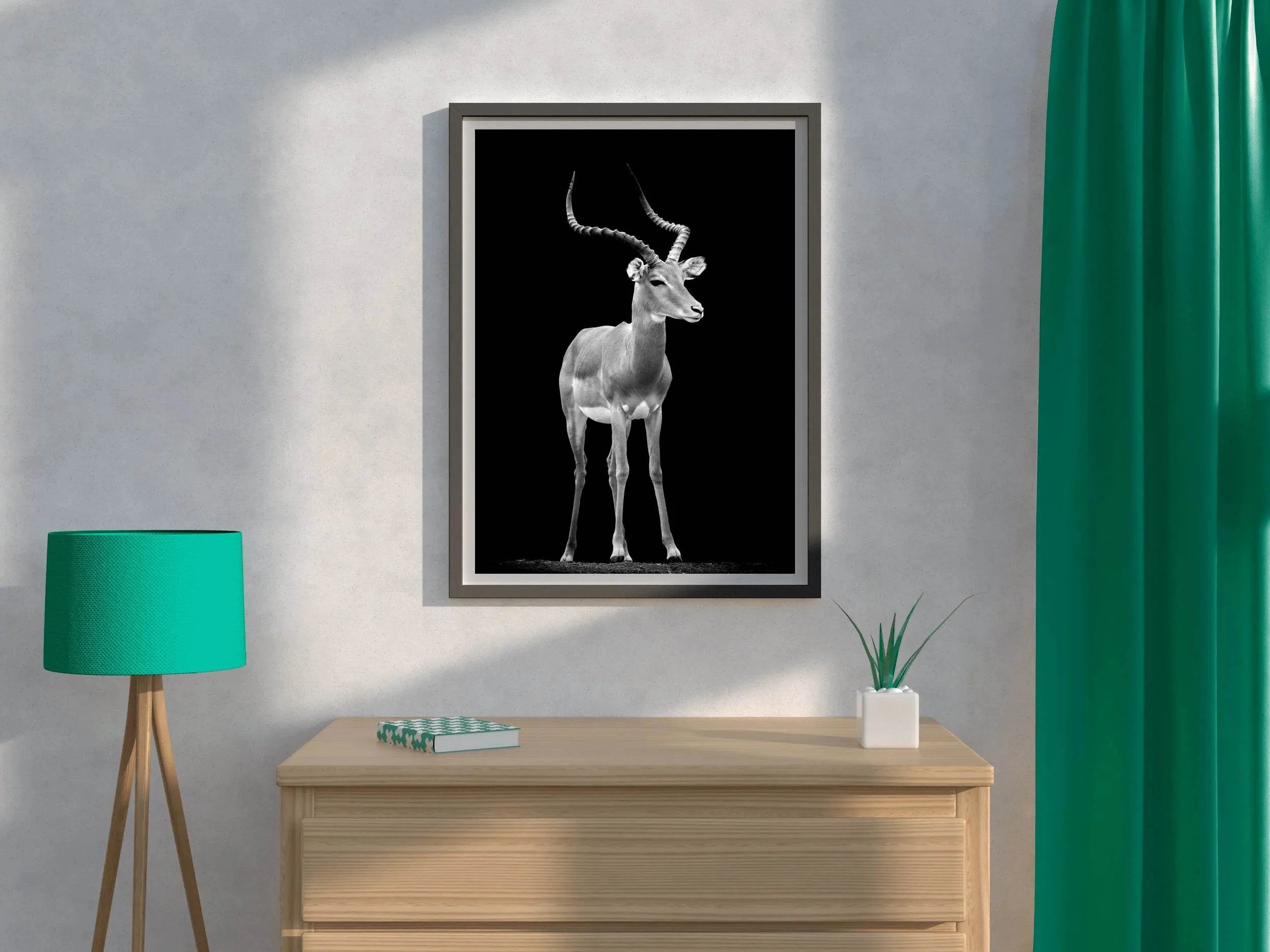 Impala Black & White Wall Art - beink online art store
