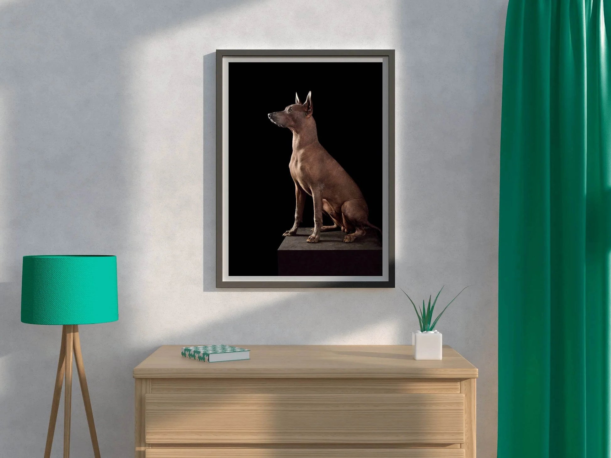 Peruvian Inca Orchid Dog Picture Wall Art - beink online art store