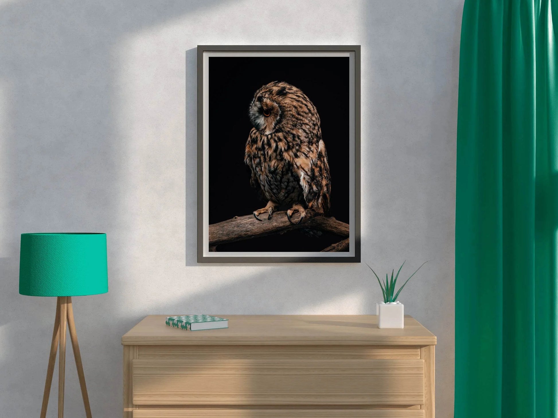 Long-Eared Owl Animal Wall Art - beink online art store