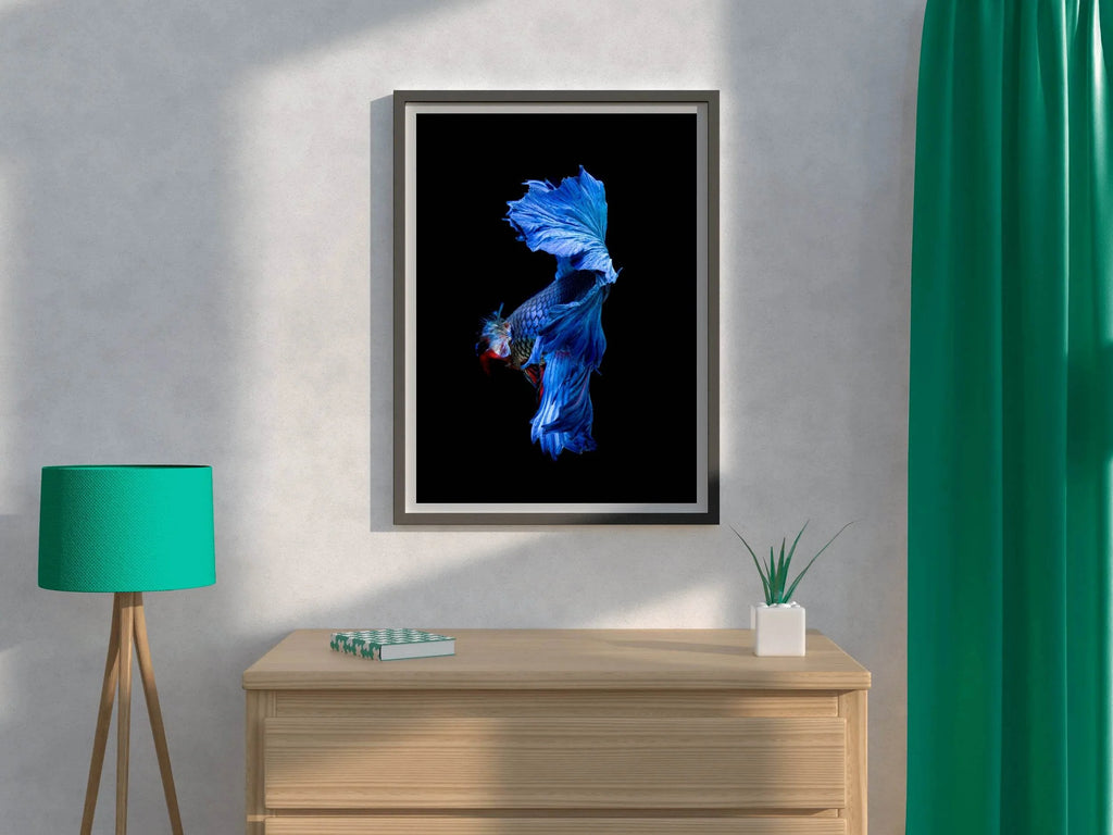 Siamese Fighting Fish Animal Wall Art - beink online art store
