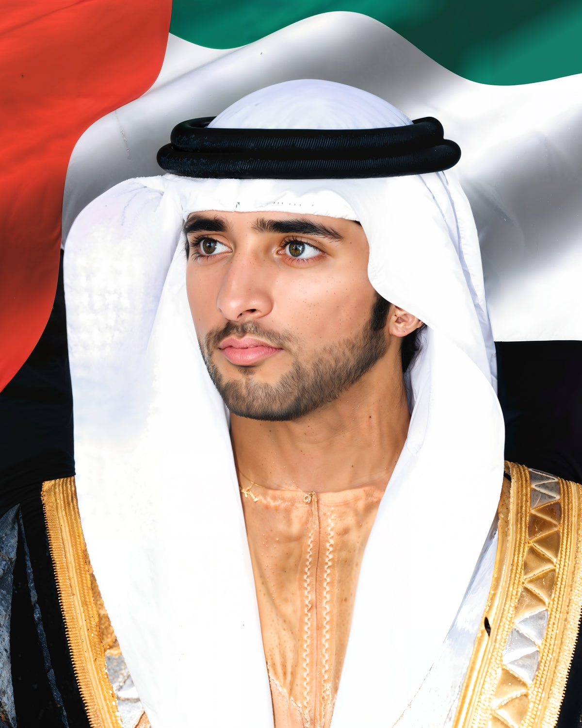 His Highness Sheikh Hamdan bin Mohammed bin Rashid Al Maktoum Artwork 3