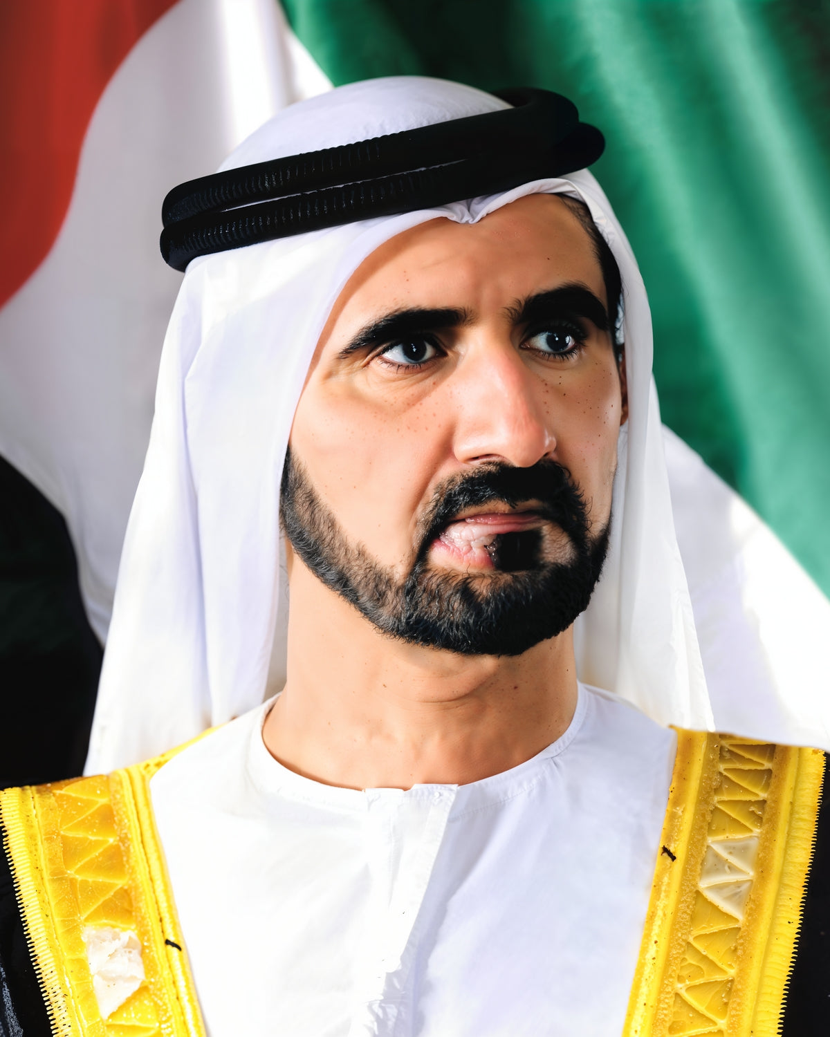 His Highness Sheikh Mohammed Bin Rashid Al Maktoum Art 3