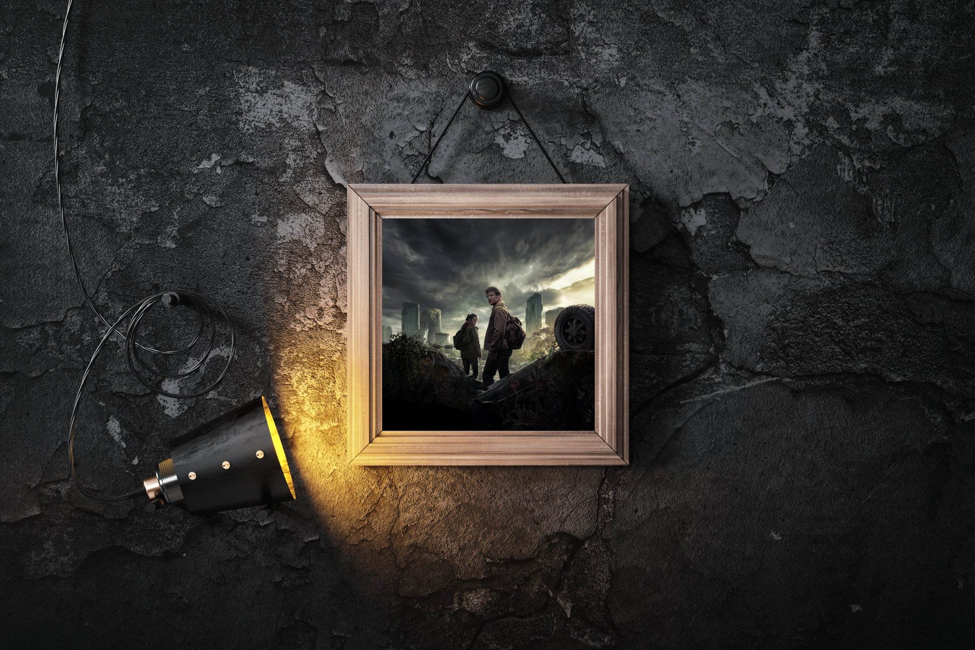 The Last of Us Wall Art - beink online art store