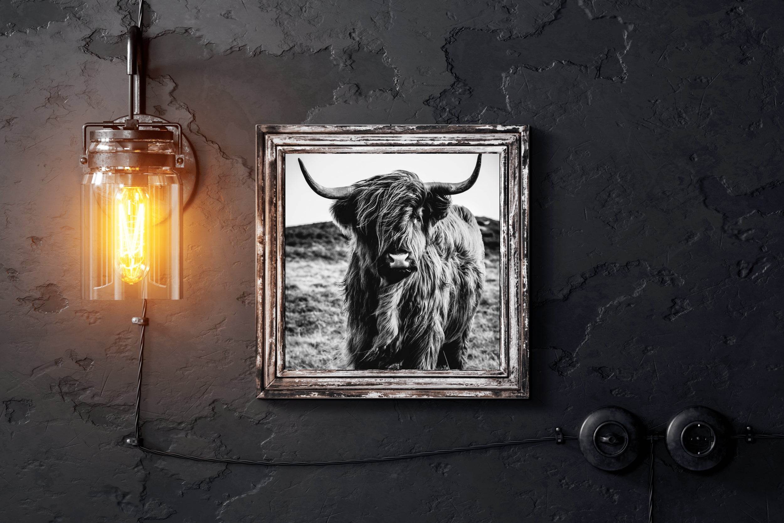 Highland Cattle Wall Art - beink online art store