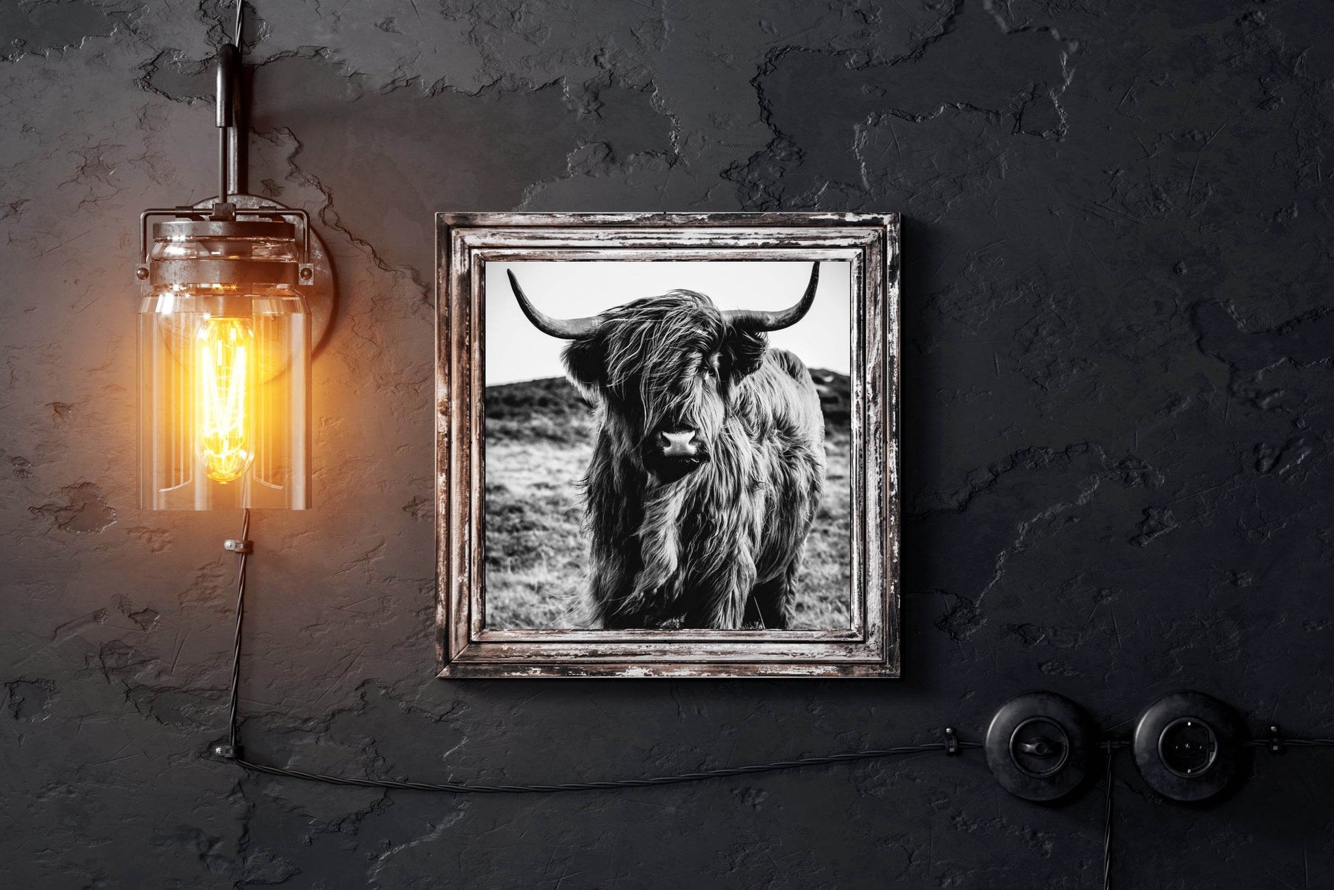 Highland Cattle Wall Art - beink online art store