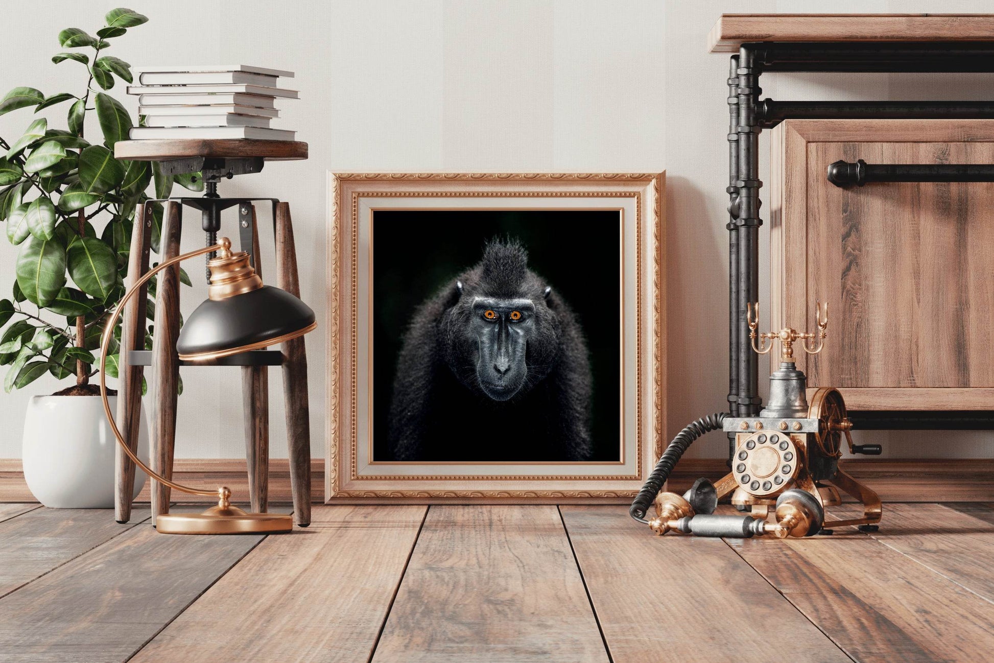 Close Up Portrait of a Male Chimpanzee - beink online art store