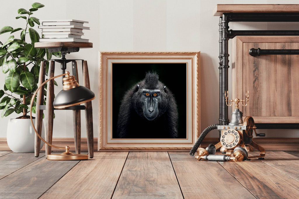 Close Up Portrait of a Male Chimpanzee - beink online art store
