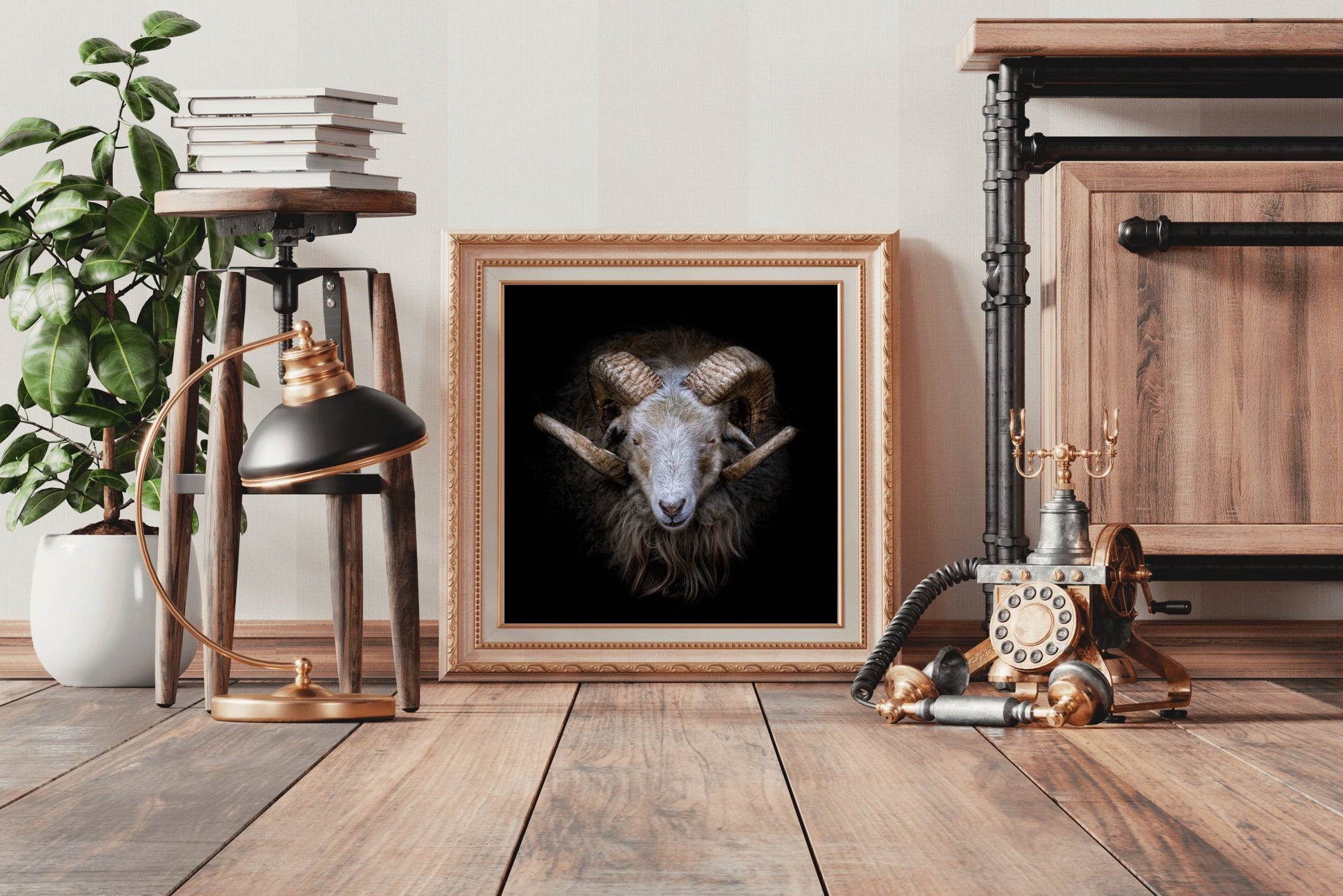 Skudde Domesticated Sheep From Estonia - beink online art store